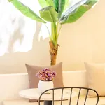 Hotel Carnaby Butik Küçükköy Ayvalı