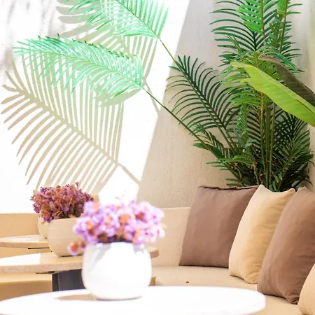 Hotel Carnaby Butik Kuecuekkoey Ayvalı