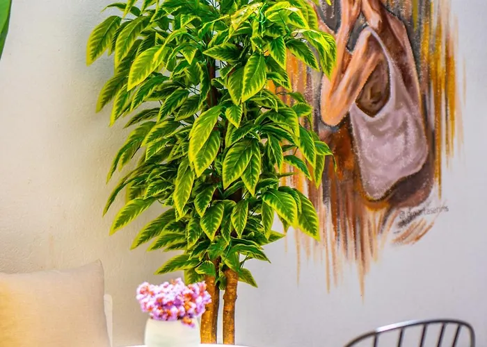 Carnaby Butik Kuecuekkoey *